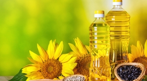 Indonesia Edible Oil Market Size, Share, Growth and Trends